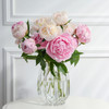 Pink peony