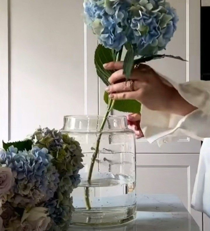 why flowers are the good idea for a gift