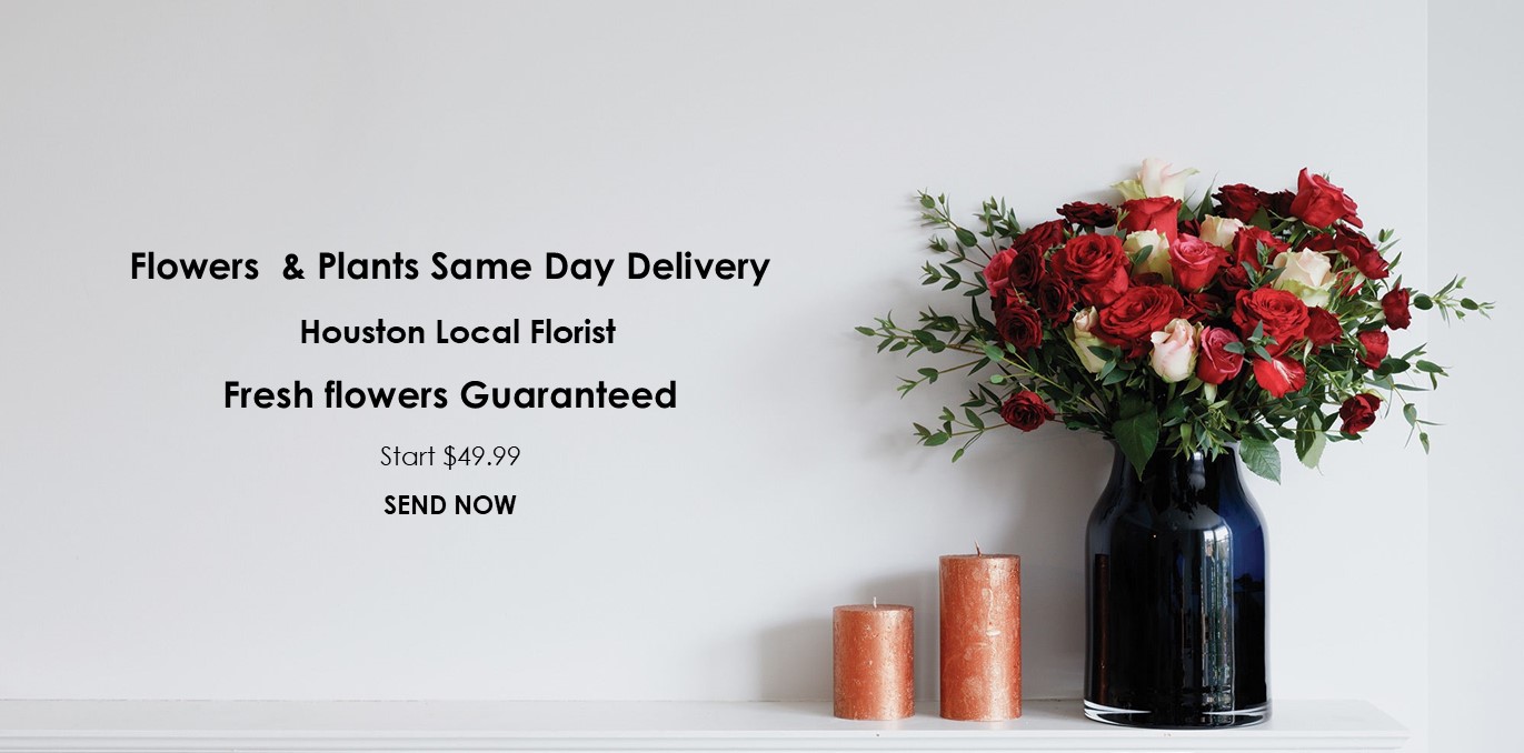 Same Day Delivery Gifts [Free, Same Day Delivery]