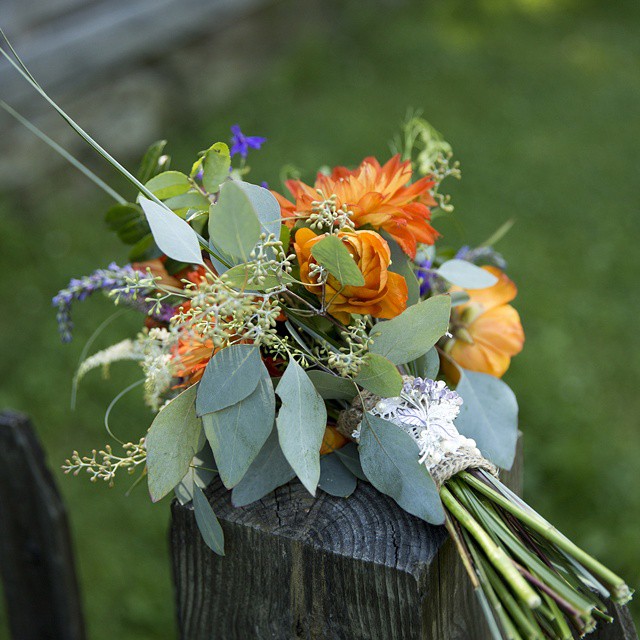 Summer Colors and Flowers 