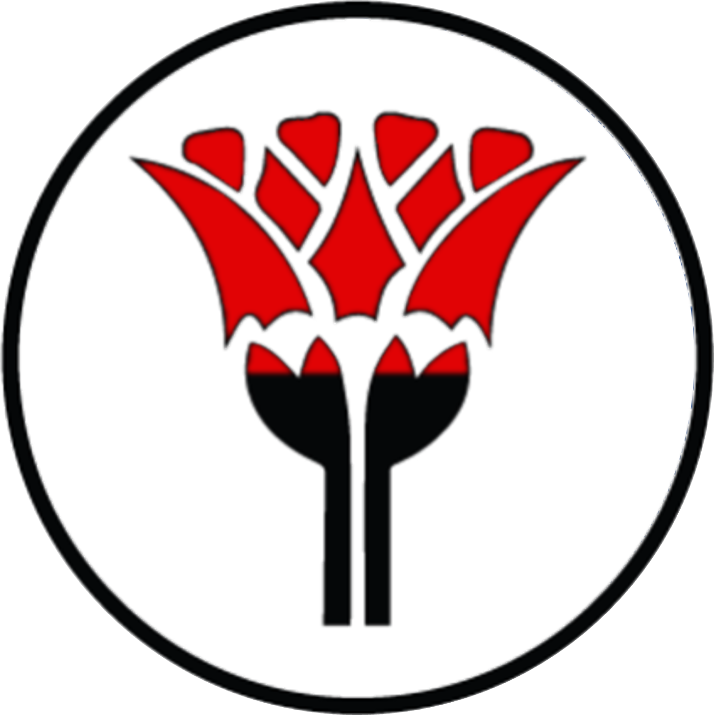 Our Local Shop Delivery Services 