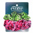 Firstline Evolve Hair Accessories, 2 Pack Scrunchie Green & Pink Leopard #223