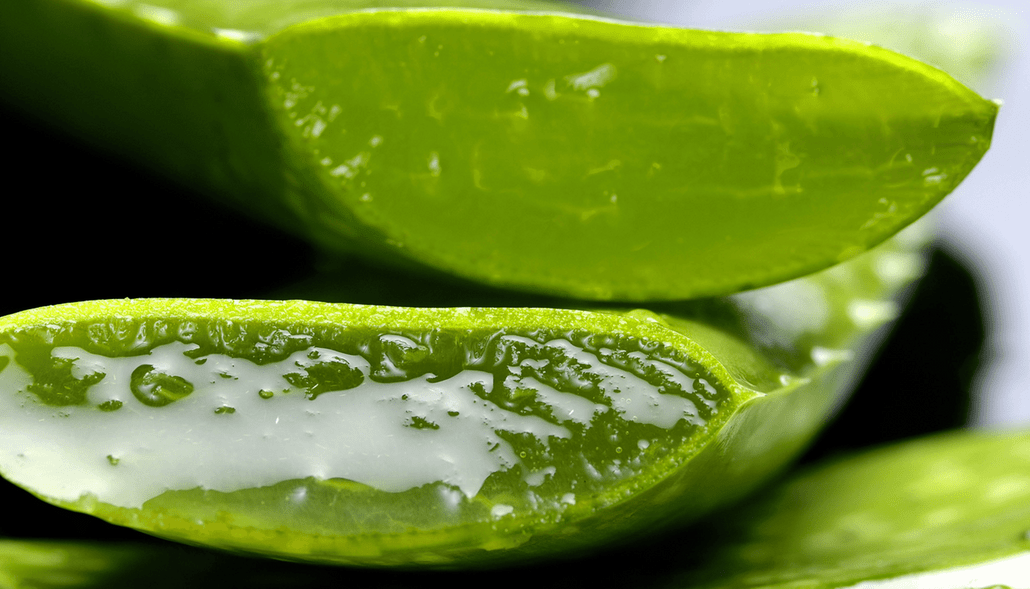 Aloe Barbadensis: Nature's Skincare Elixir