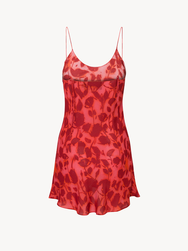 The Luz - Havana The Luz - Havana