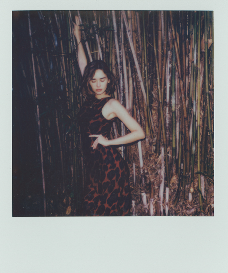 The Tatjana - Rouge Leopard