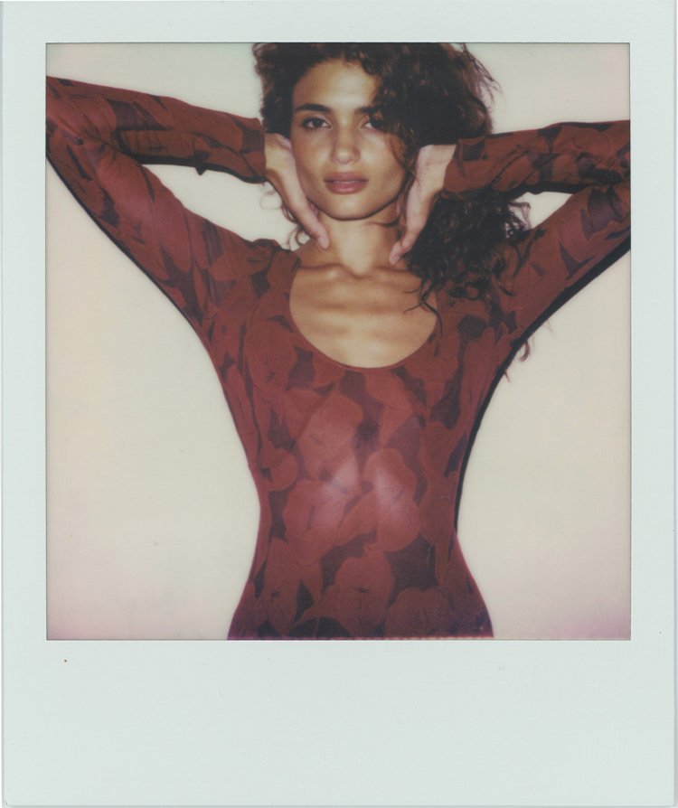 The Inka - Calla Lily