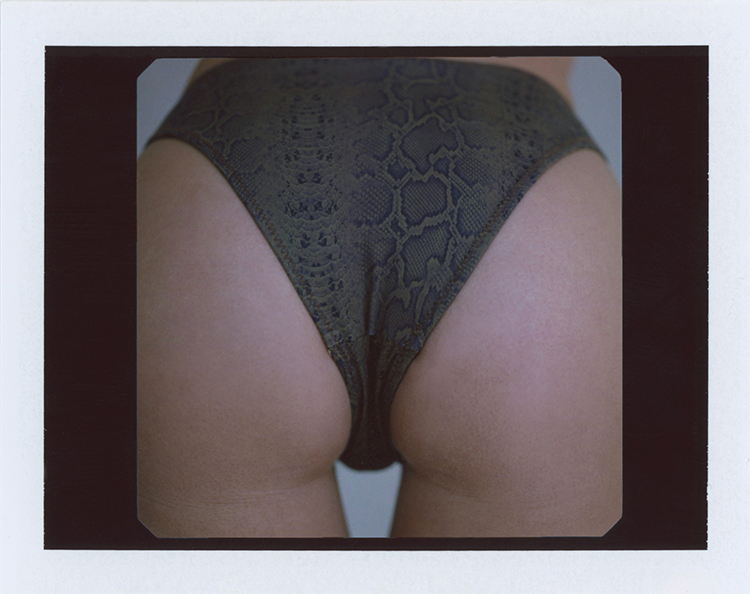 The Dove Bottom - Python/Animal