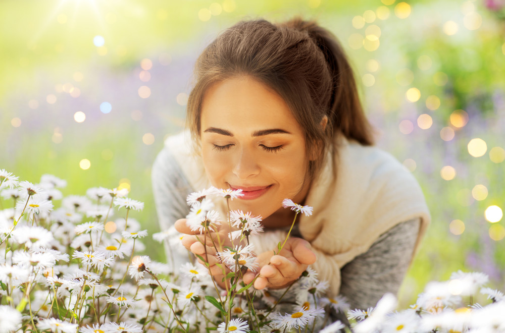 The Beauty of Camomile