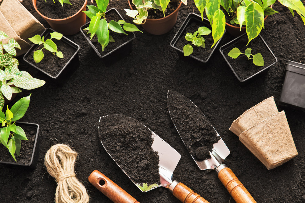 5 Tips to Remember While Getting Your Garden Ready This Spring