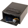 Bulldog Pistol Vault 11x8x5 Single Trio
