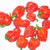 Scotch Bonnet Trinidad Red Chilli Seeds x 10