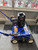 Bluebird 18 in. Power Rake Briggs & Stratton Engine Model PR18 Used