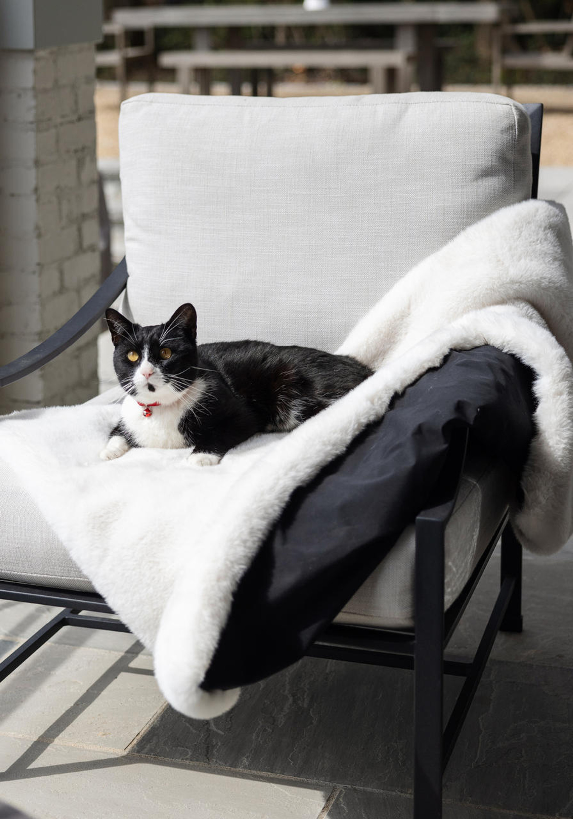 Ivory Mink Faux Fur Lap Blanket Gifts FabulousFurs