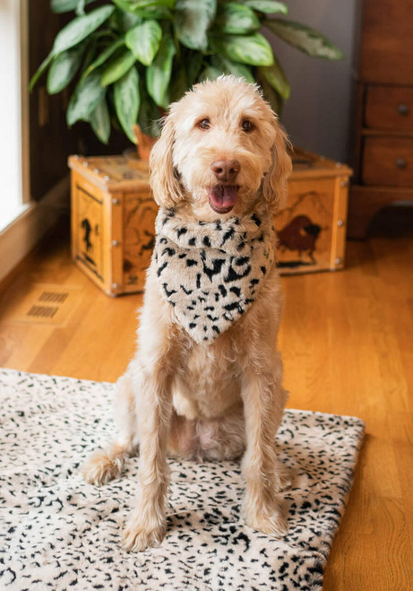 Fabulous-Furs Cheetah Faux Fur Pet Bandana Collar 