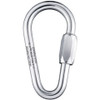 Maillon Rapide Pear Aluminum 7 mm Quick Link