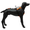 Kong Haria Harness, Rescue Dog