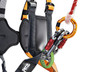 Petzl Simba Climbing Kid's Harness