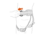 Petzl Tetrax Harness