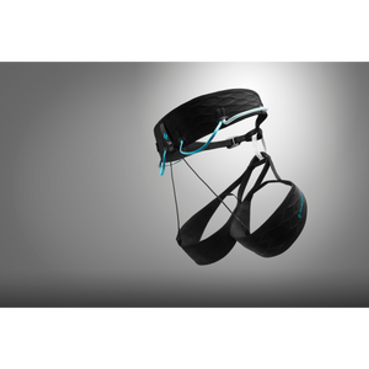 Black Diamond Airnet Harness - Women's  **CLOSEOUT** Black Diamond Airnet Harness - Women's  **CLOSEOUT**