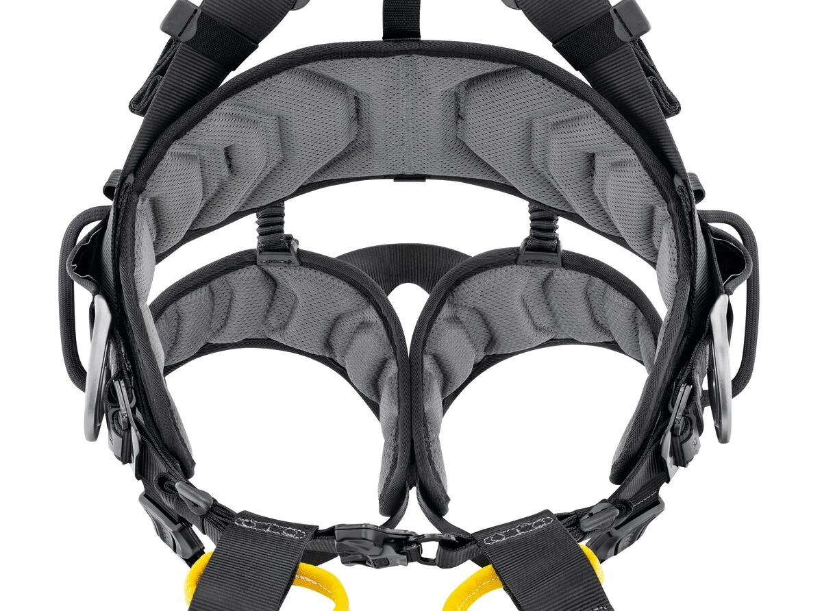 Petzl VOLT International Harness