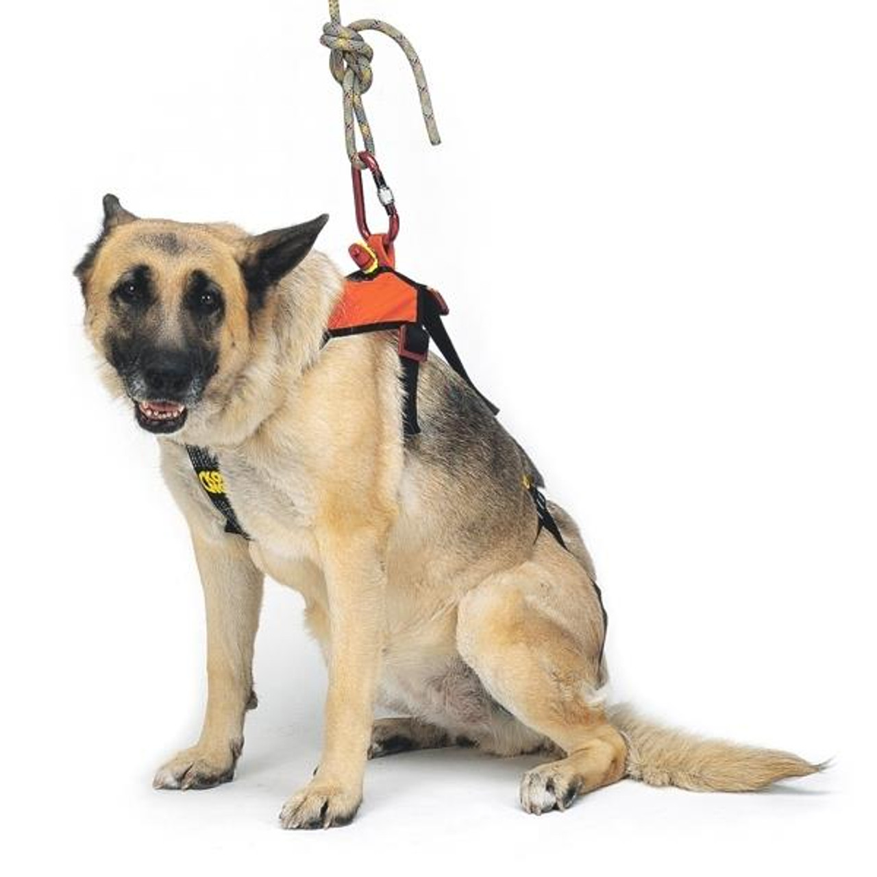 Kong Smeus Rescue Harness for Dogs