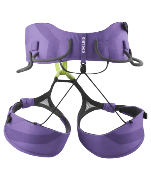 Helia II violet