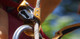 Ascenders