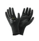 Gloves and Accessories