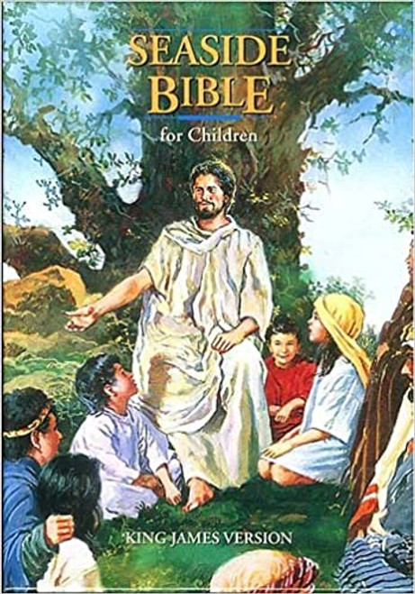 Bible Seaside Children's HC Illustrations