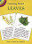 Learning About - Leaves - Dot Barlowe - Softcover