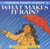 Pocket Science - What Makes it Rain? - Susan Mayes - Softcover