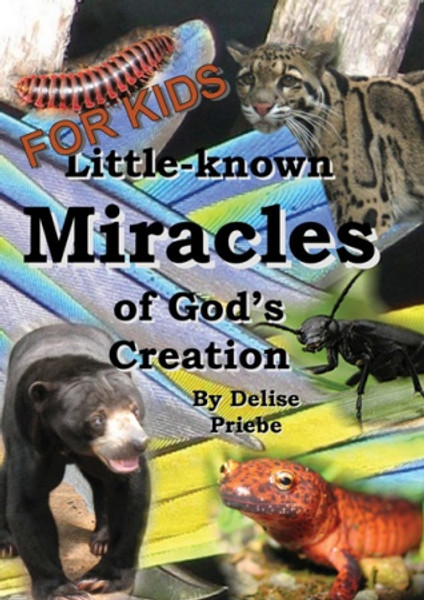 Little Known Miracles Of Gods Creation (Kids Version) - DVD - Mathew Priebe - DVD