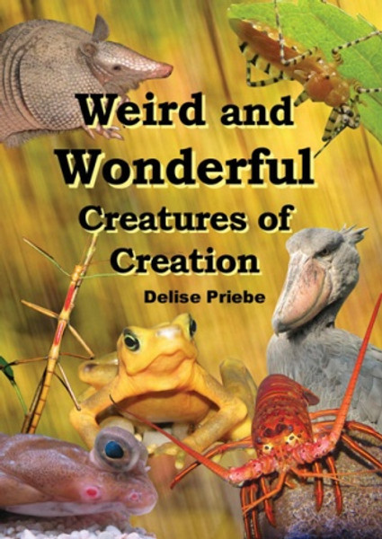 Weird and Wonderful Creatures of Creation [for Kids]-DVD - Delise Priebe - DVD