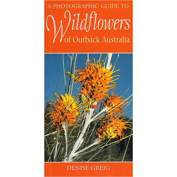 A Photographic guide to Wildflowers outback Australia