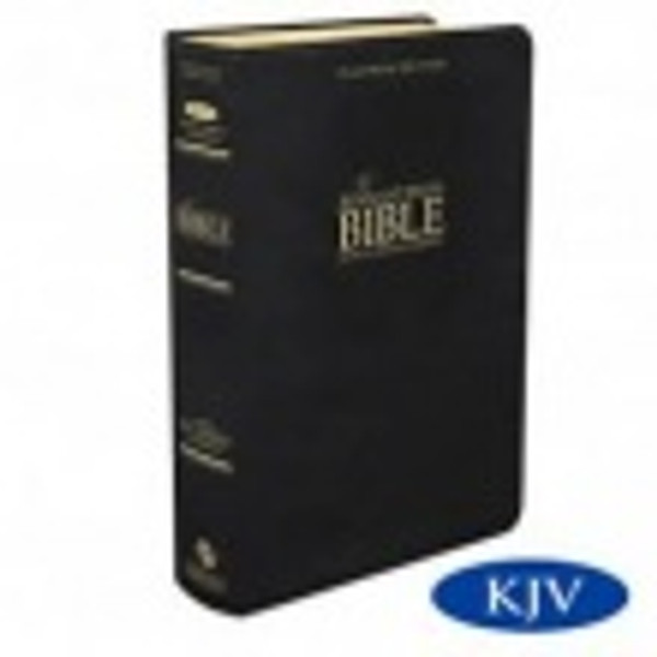 Bible  Platinum Remnant Study Bible Black Top Grain Leather, EGW comments