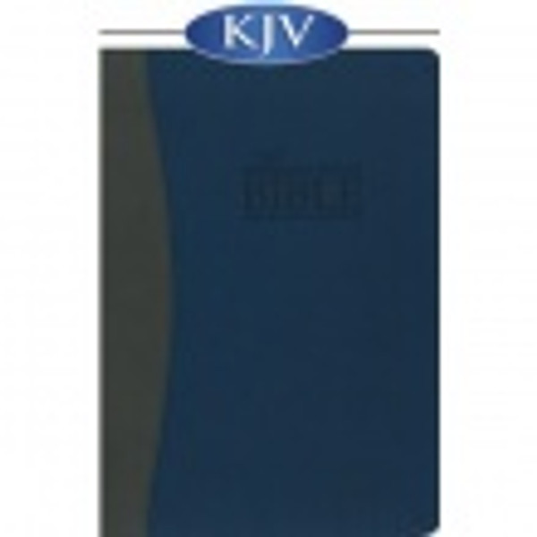 Bible  Remnant Study Bible Bonded Leather Blue Gray, EGW comments