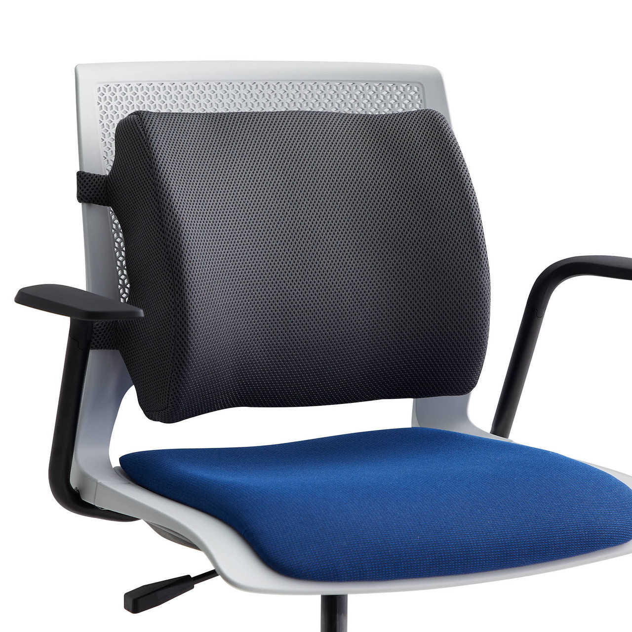 Low Back Lumbar Support for Office Chairs, Car Seats and Travel