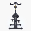 Cascade Pro Indoor Bike