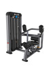 Elite Plus Rotary Torso Commercial Oblique Machine