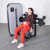 Muscle D Fitness - Vogue Series Triceps Extension Machine