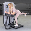 Muscle D Fitness - Vogue Series Glute Extension Machine