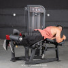 Muscle D Fitness - Classic V2 Leg Extension / Prone Leg Curl Combo Machine