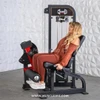 Muscle D - Classic V2 Selectorized Leg Extension Machine