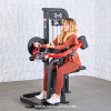 Classic V2 Selectorized Biceps / Triceps Combo Gym Machine by Muscle D Fitness
