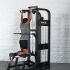 Excel Selectorized Assisted Chin / Dip Combo Machine by Muscle D Fitness