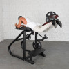 Muscle D Fitness - Pro Strength Reverse Hyper