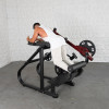 Muscle D Fitness - Pro Strength Reverse Hyper