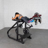 Muscle D Fitness - Pro Strength Reverse Hyper