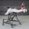 Power Leverage V2 Reverse Hyper Machine by Muscle D Fitness