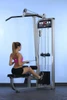 Muscle D Fitness - Dual Function Lat / Low Row Combo Machine